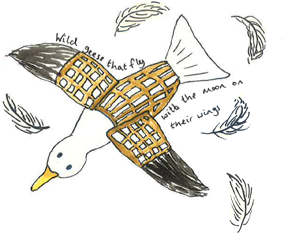 Babigloo goose flying over the sea